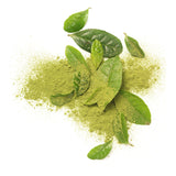 Positive Hotel Detox Supplement GREEN-MINT DETOX STIX