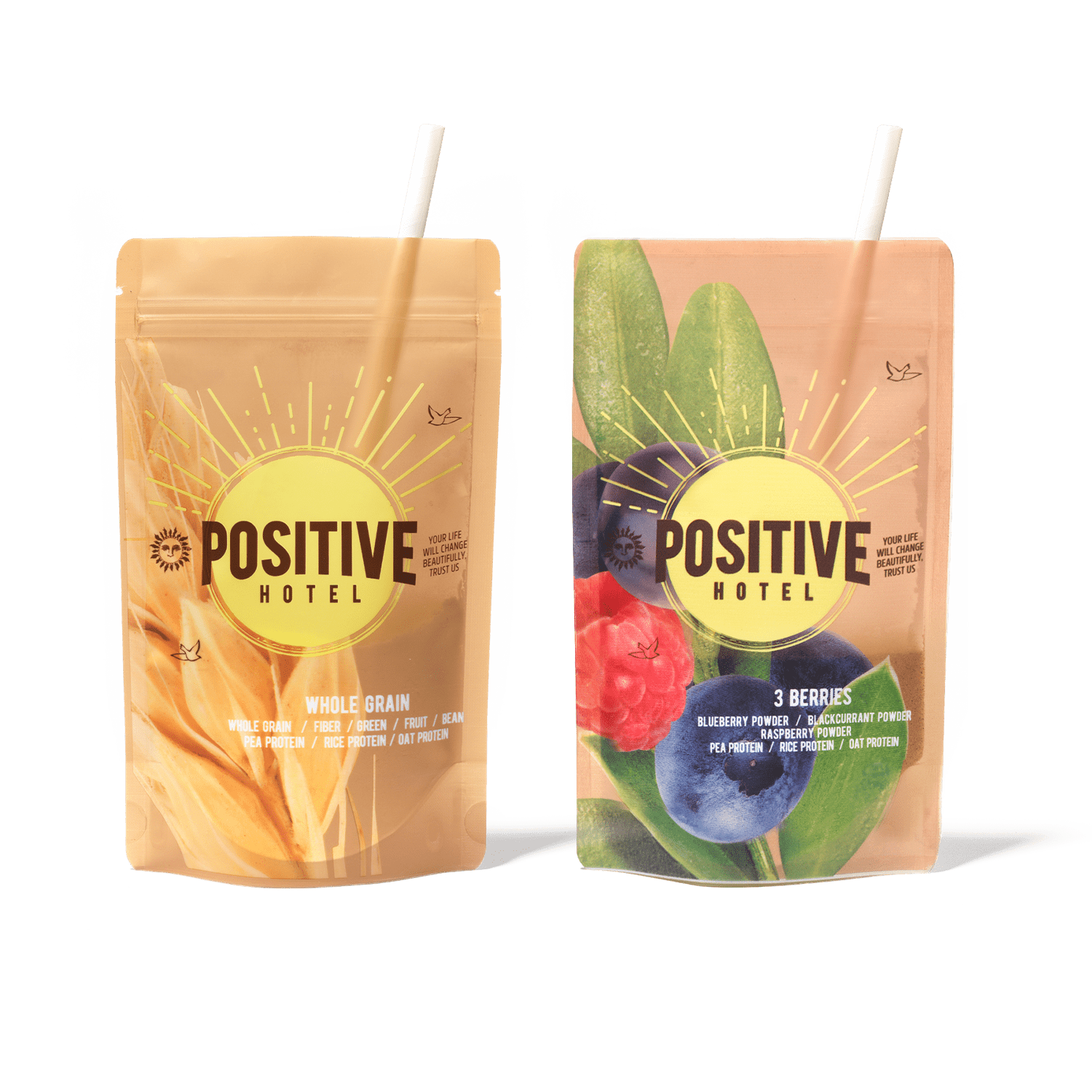 Positive Hotel Plant Proteins POSITIVE PROTEIN SHAKE